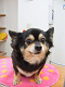 DSCF9668[1]_thumb.png